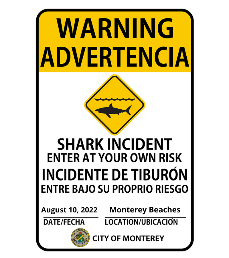 shark-warning