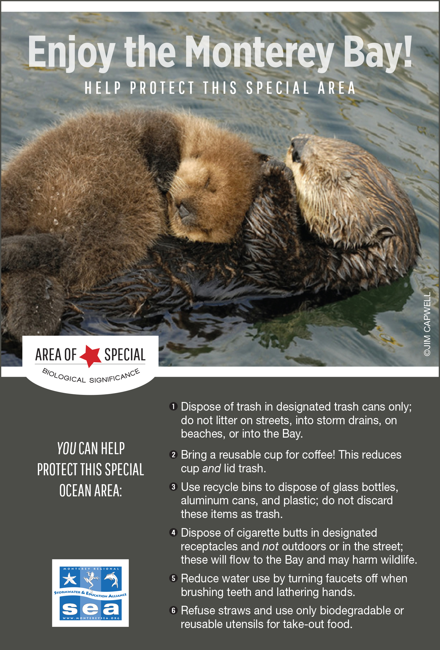 Vintage California Travel Brochure Saving Sea Otters Plus Entry Ticket ...